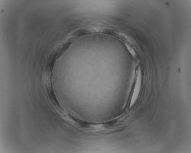 X0000077330409200611101529