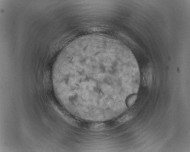 X0000077330410200611101529