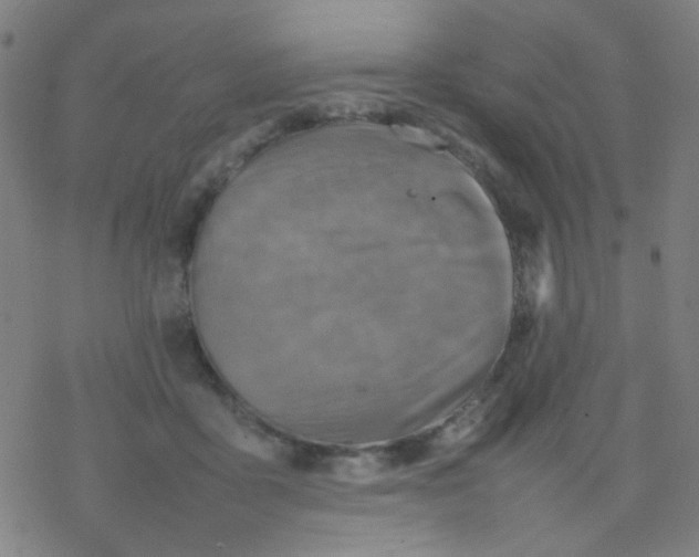 X0000077330411200611101529