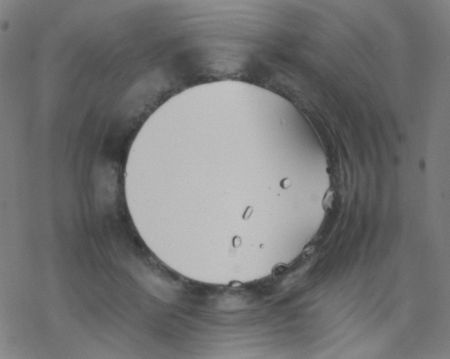 X0000077330412200611101529