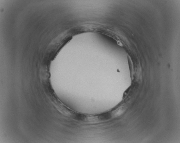 X0000077330413200611101529