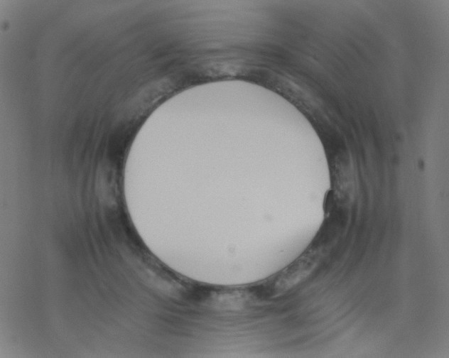 X0000077330414200611101529