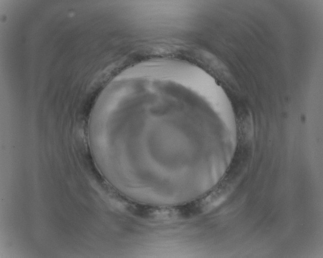 X0000077330415200611101529