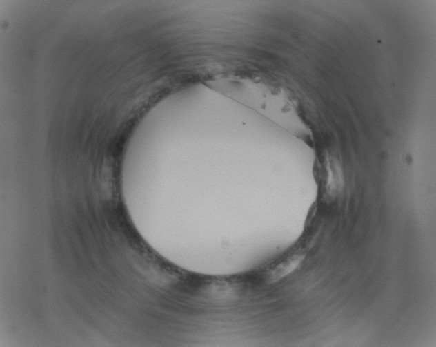 X0000077330416200611101529