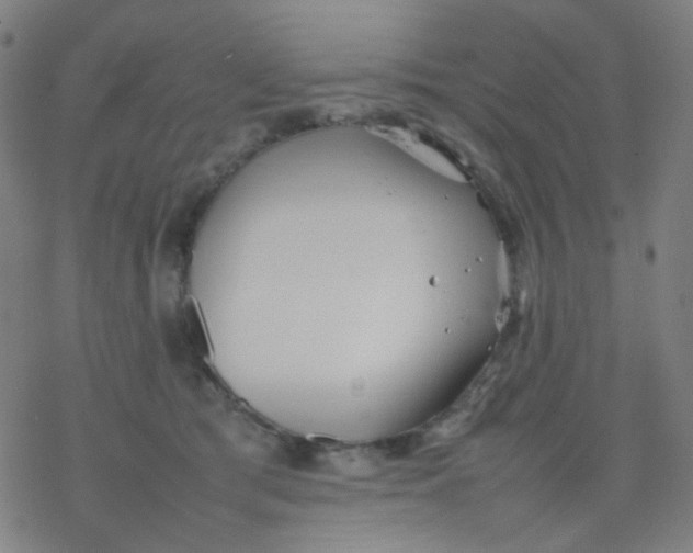 X0000077330417200611101529