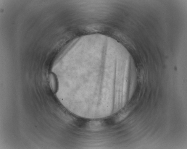 X0000077330418200611101528