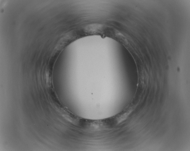 X0000077330420200611101528