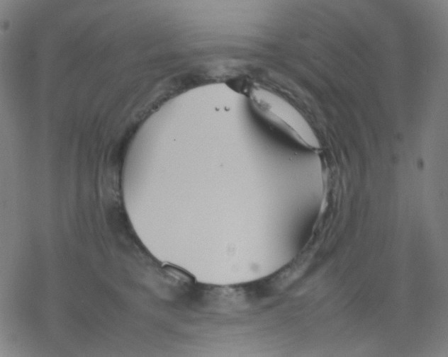 X0000077330421200611101528