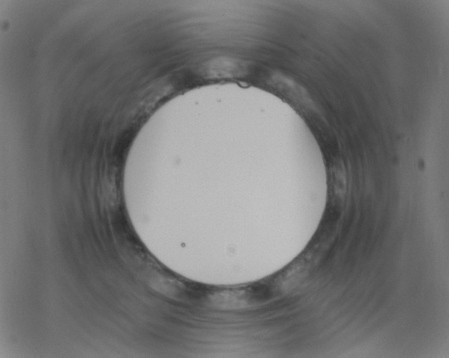 X0000077330422200611101528