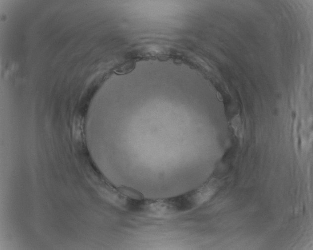 X0000077330423200611101528