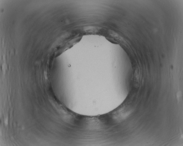 X0000077330424200611101528