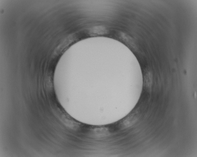 X0000077330426200611101528