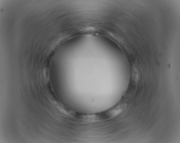 X0000077330428200611101528