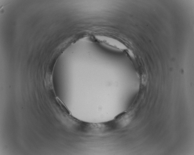 X0000077330429200611101528