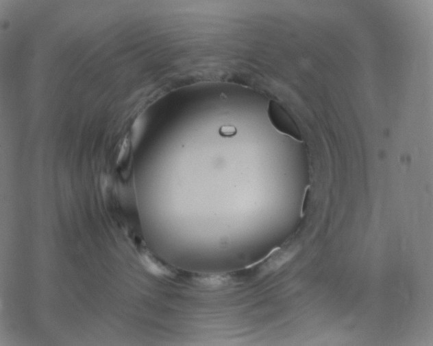 X0000077330432200611101528