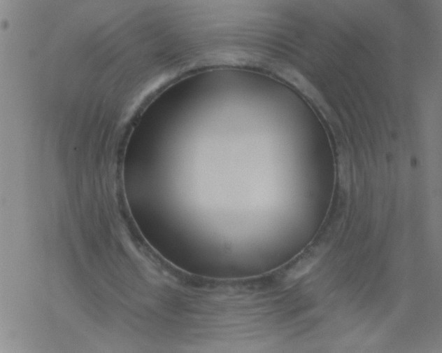 X0000077330434200611101527