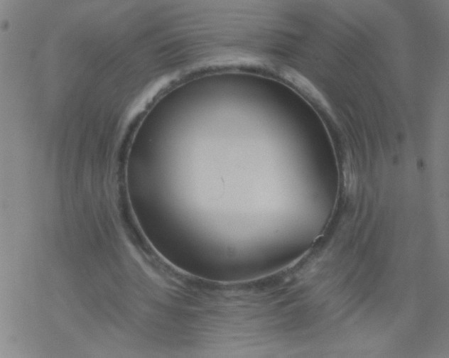 X0000077330436200611101528