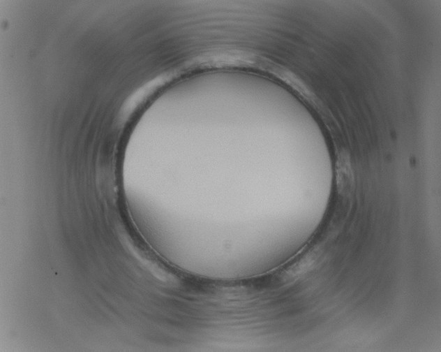 X0000077330438200611101528