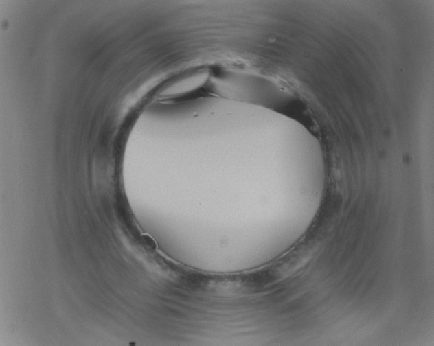 X0000077330440200611101528