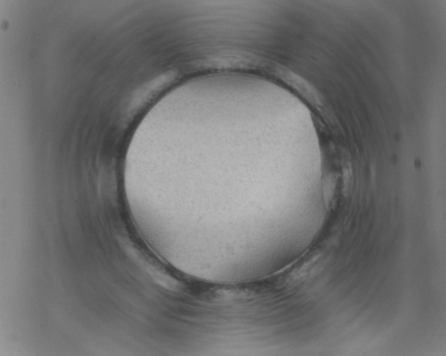 X0000077330442200611101528