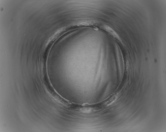 X0000077330444200611101528