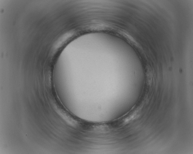 X0000077330446200611101528