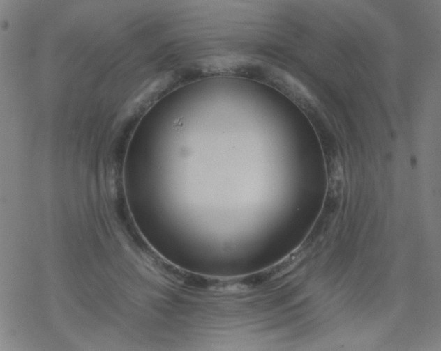 X0000077330452200611101528