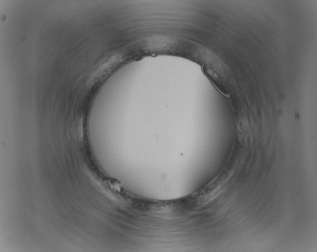 X0000077330454200611101528