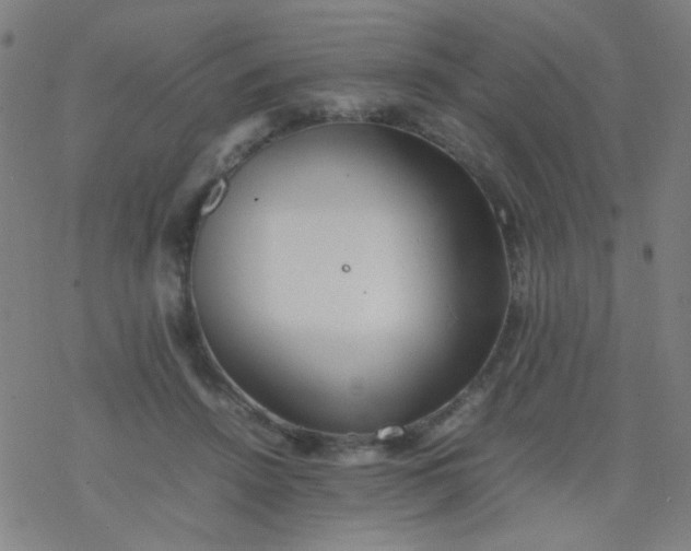 X0000077330456200611101528