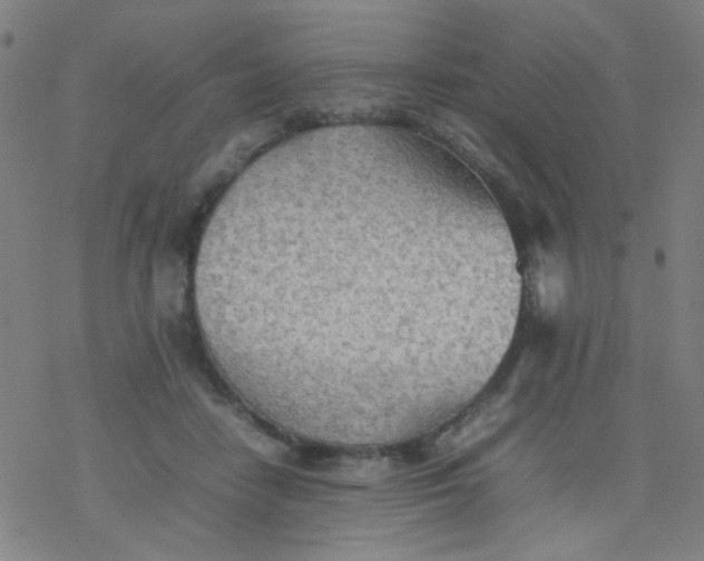 X0000077330458200611101528