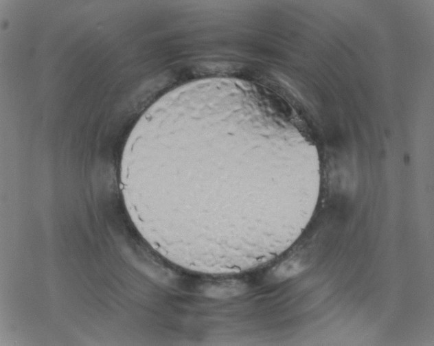 X0000077330459200611101528