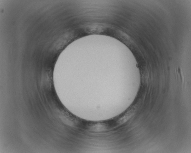 X0000077330460200611101528