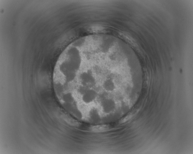 X0000077330461200611101528