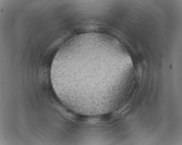 X0000077330462200611101528