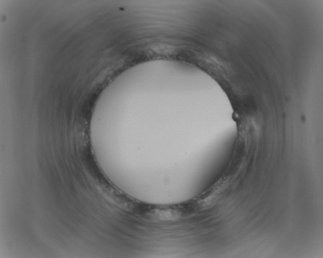 X0000077330464200611101528