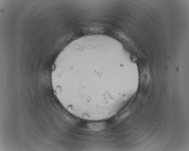 X0000077330465200611101528