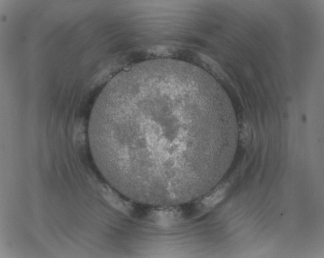 X0000077330466200611101528