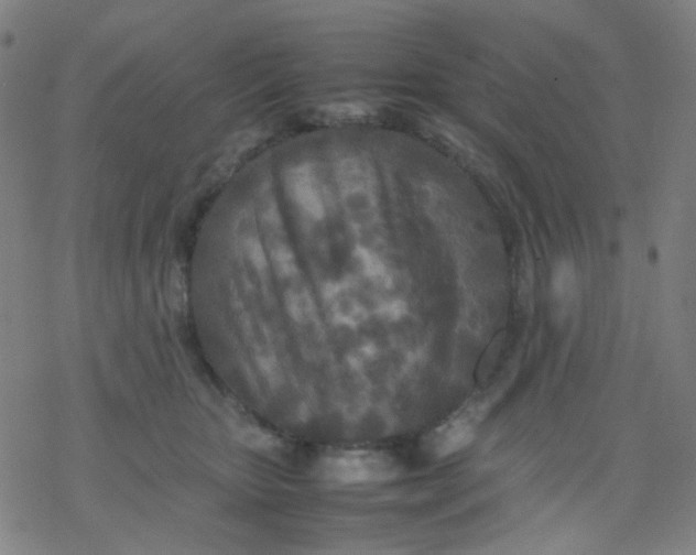 X0000077330467200611101528