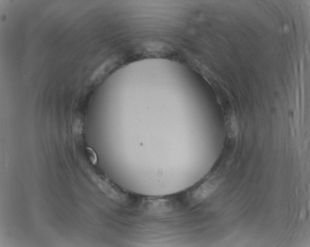 X0000077330472200611101528