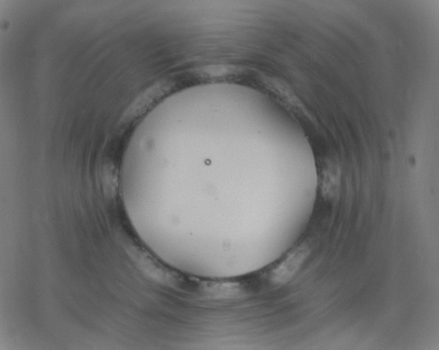 X0000077330476200611101528