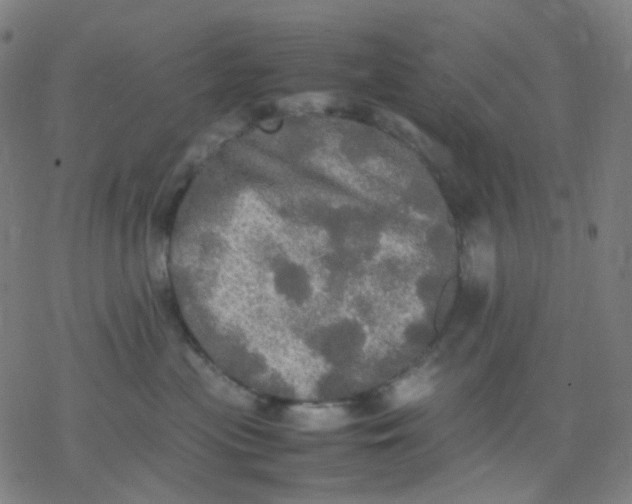 X0000077330477200611101528