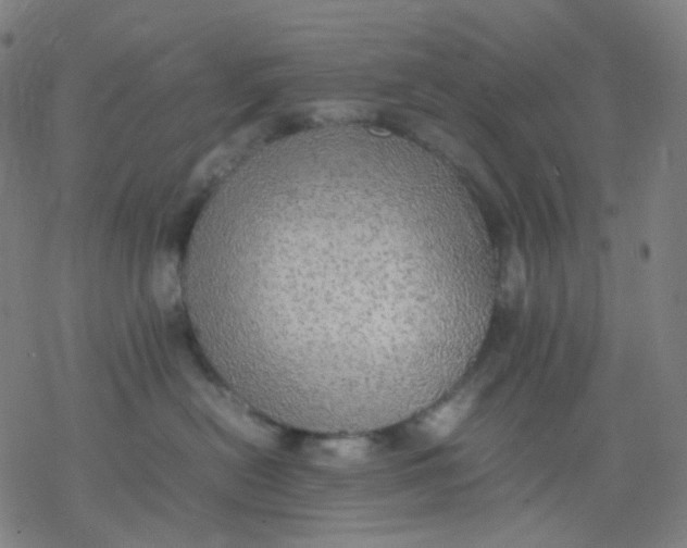 X0000077330478200611101528