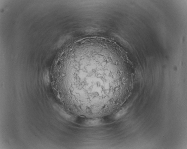 X0000077330479200611101528