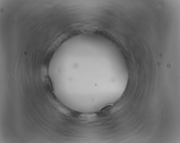 X0000077330480200611101528