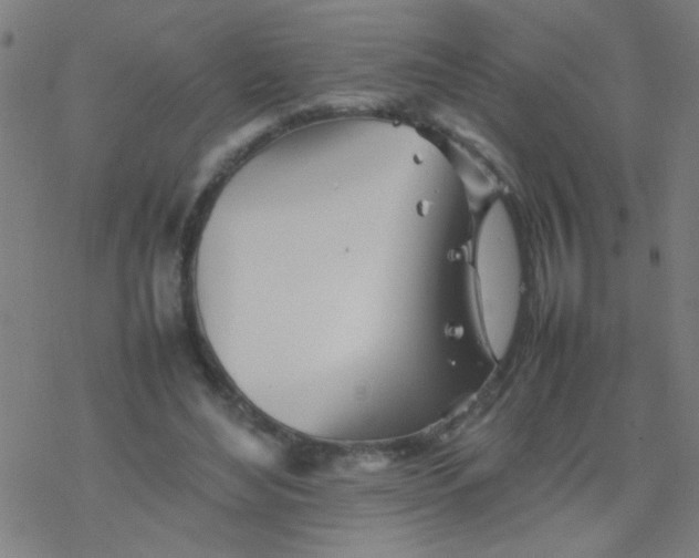 X0000077330492200611101527