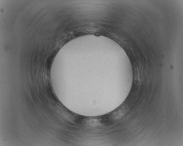 X0000077330518200611101527