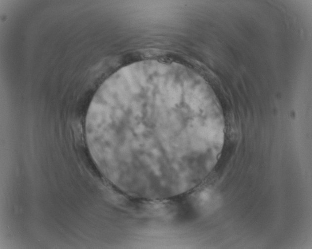 X0000077330523200611101527