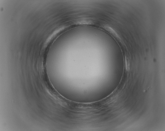 X0000077330531200611101526