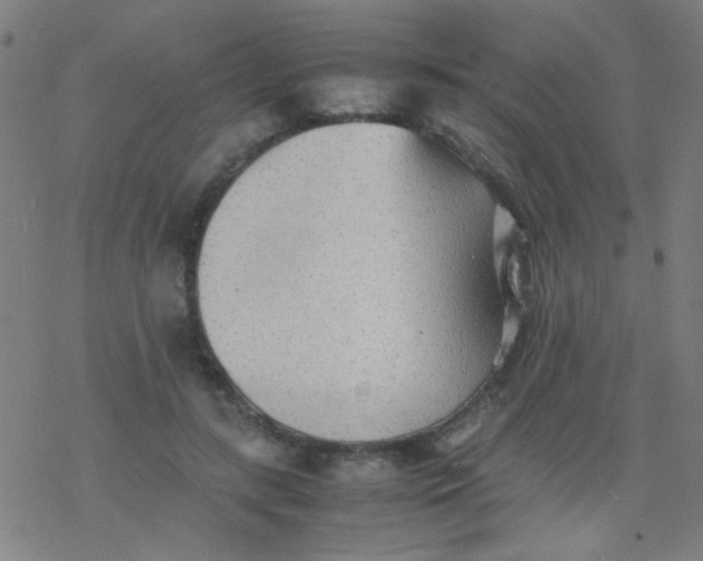 X0000077330547200611101526