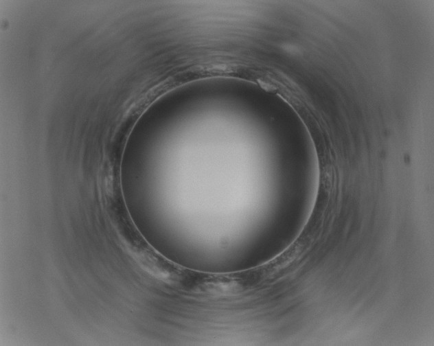X0000077330552200611101526